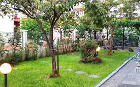 Seniorita Holidays